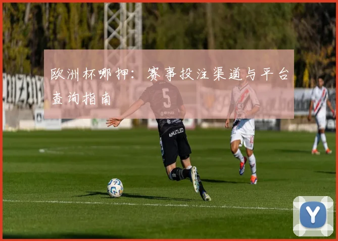 欧洲杯哪押:赛事投注渠道与平台查询指南