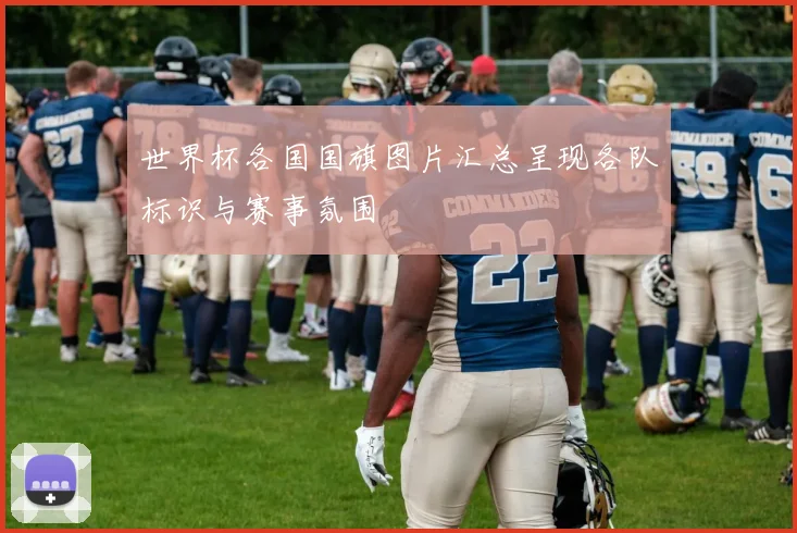 世界杯各国国旗图片汇总呈现各队标识与赛事氛围