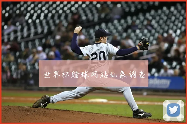 世界杯赌球网站乱象调查